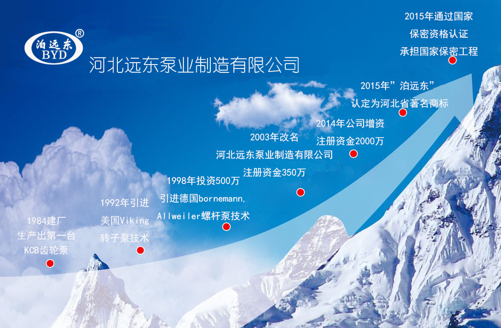 思旺晶茂集團有限公司發展曆程(chéng)